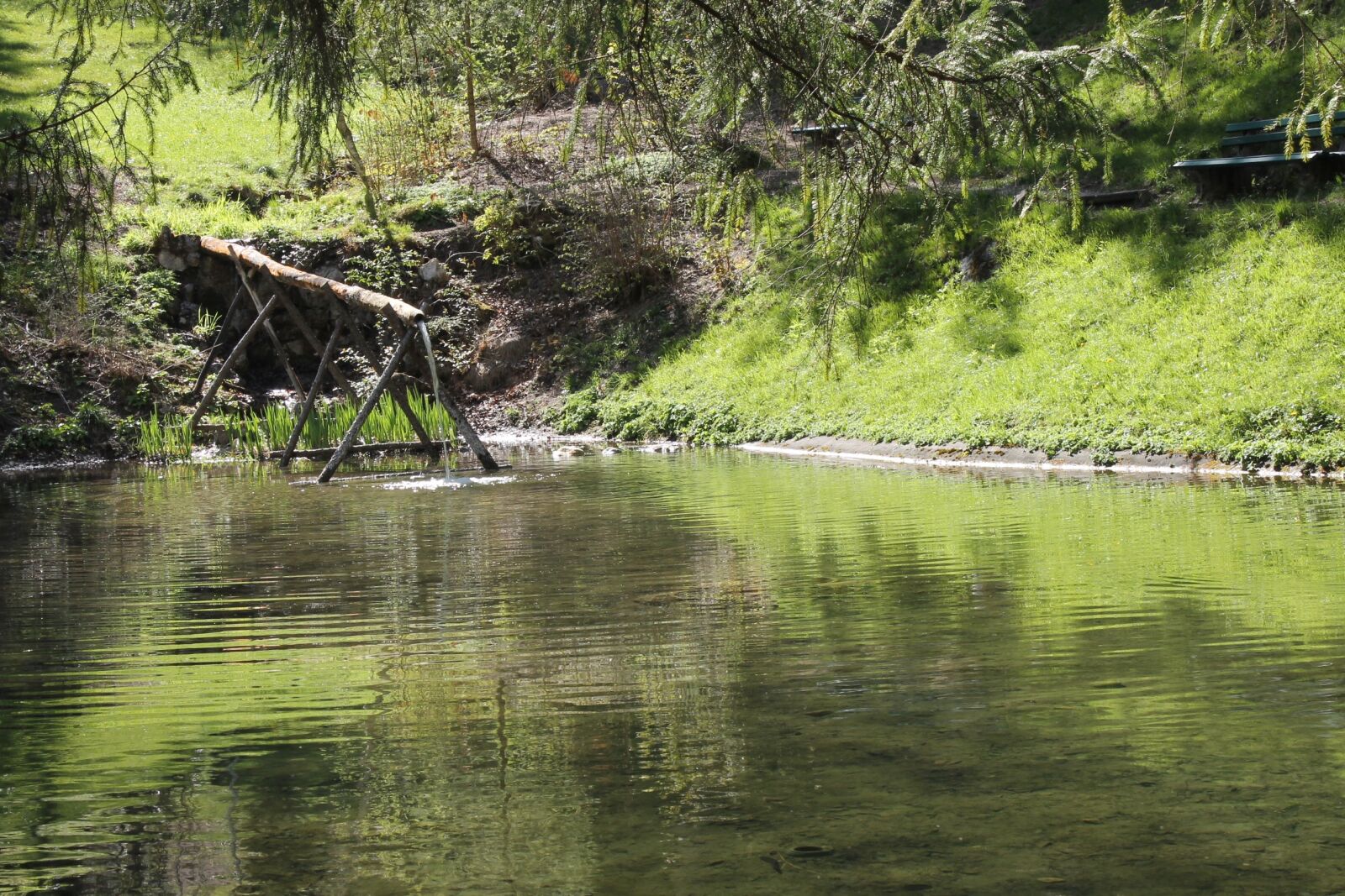 Canon EOS 1100D (EOS Rebel T3 / EOS Kiss X50) sample photo. Forest, lake, water photography