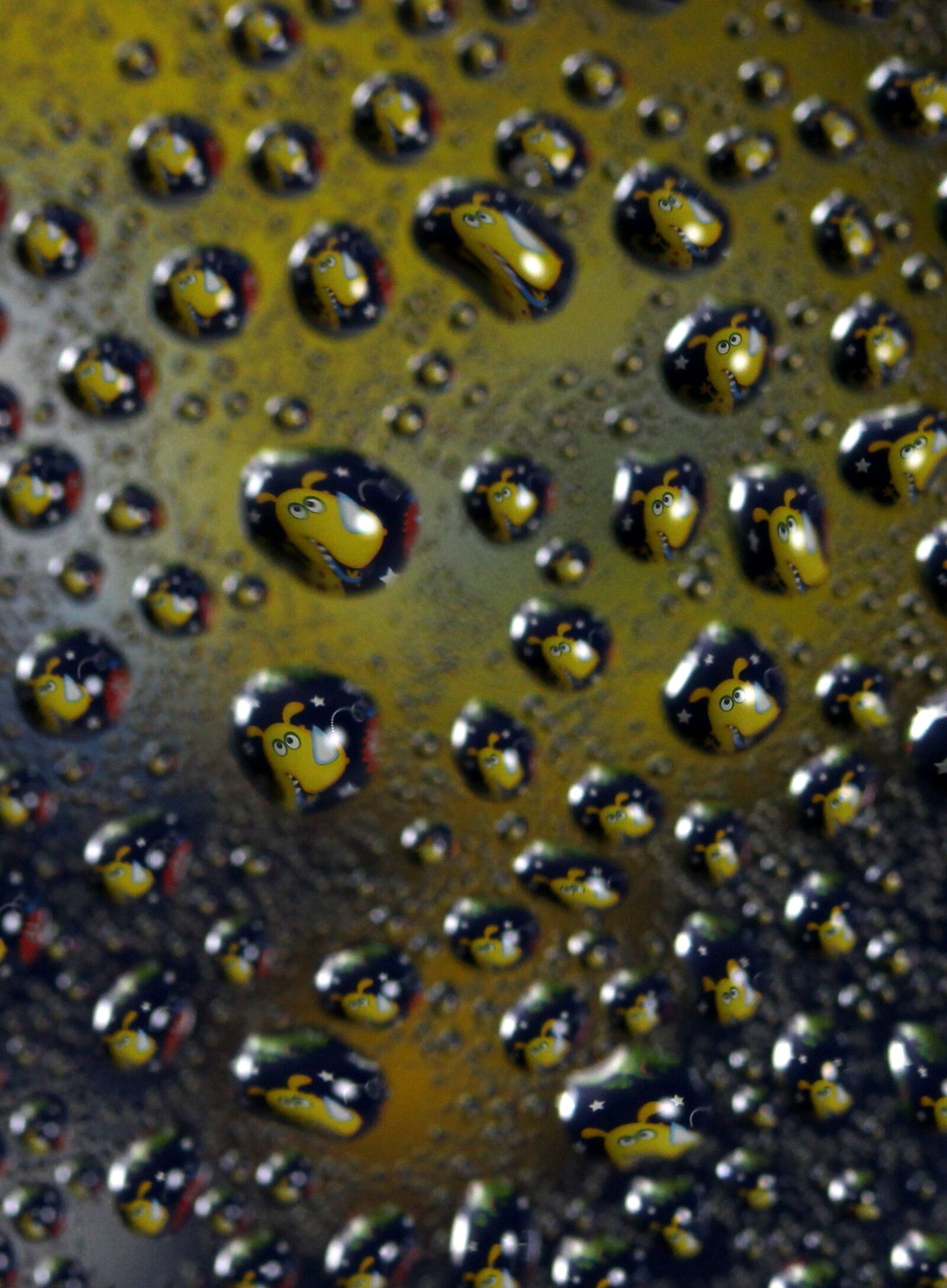 Canon EF-S 60mm F2.8 Macro USM sample photo. Drops, refractive, coloring photography