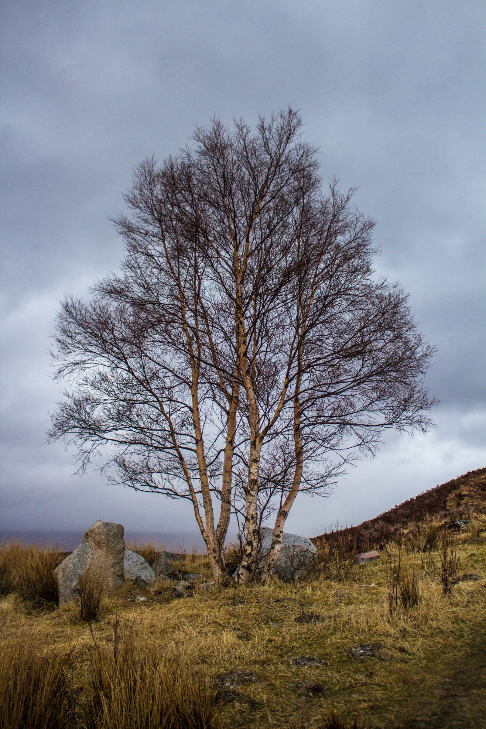 Canon EOS 600D (Rebel EOS T3i / EOS Kiss X5) sample photo. Scotland, water, lake photography
