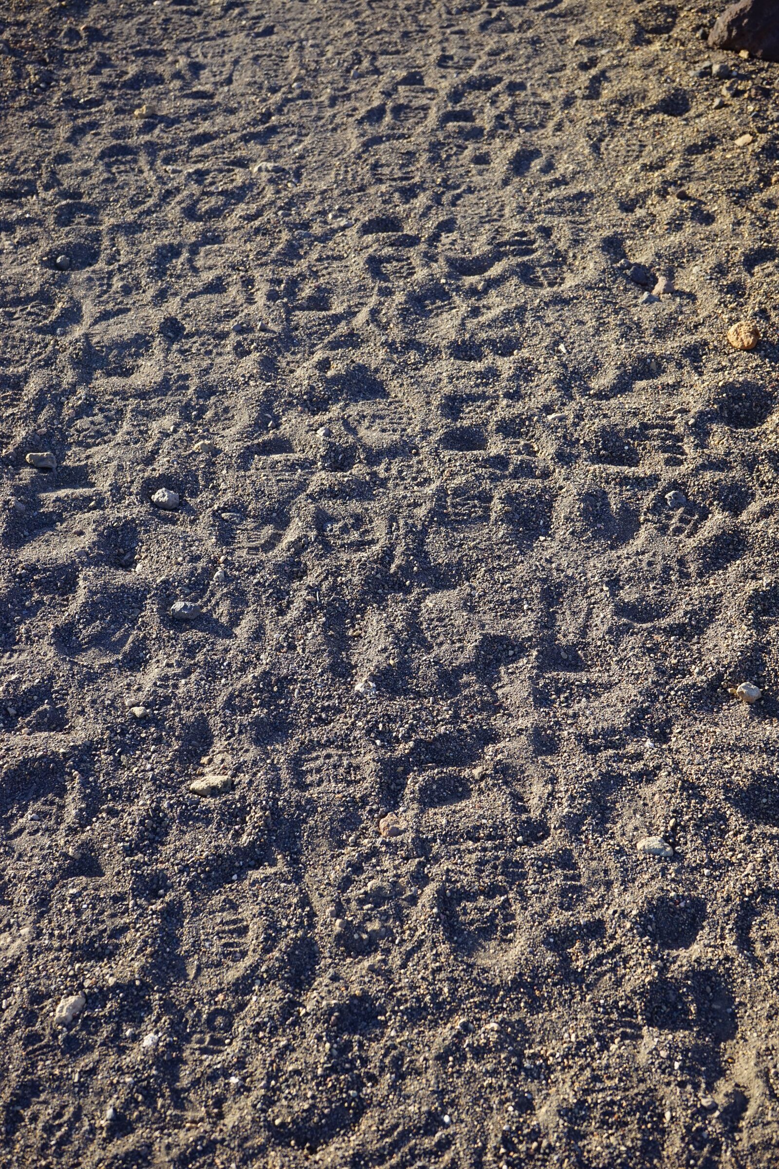 Sony a7 sample photo. Traces, footprints, sand photography