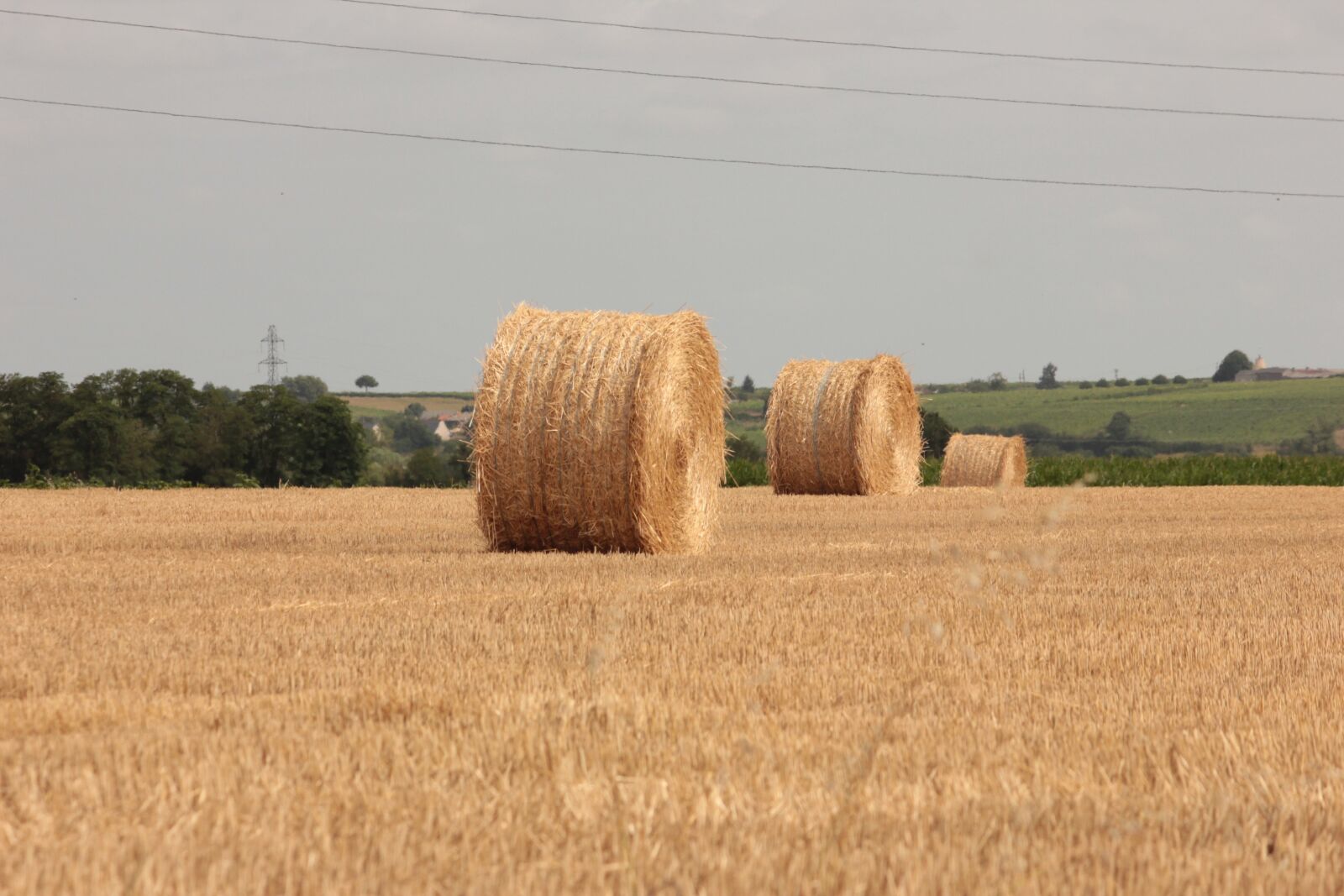 Canon EOS 550D (EOS Rebel T2i / EOS Kiss X4) sample photo. Straw, field, agriculture photography