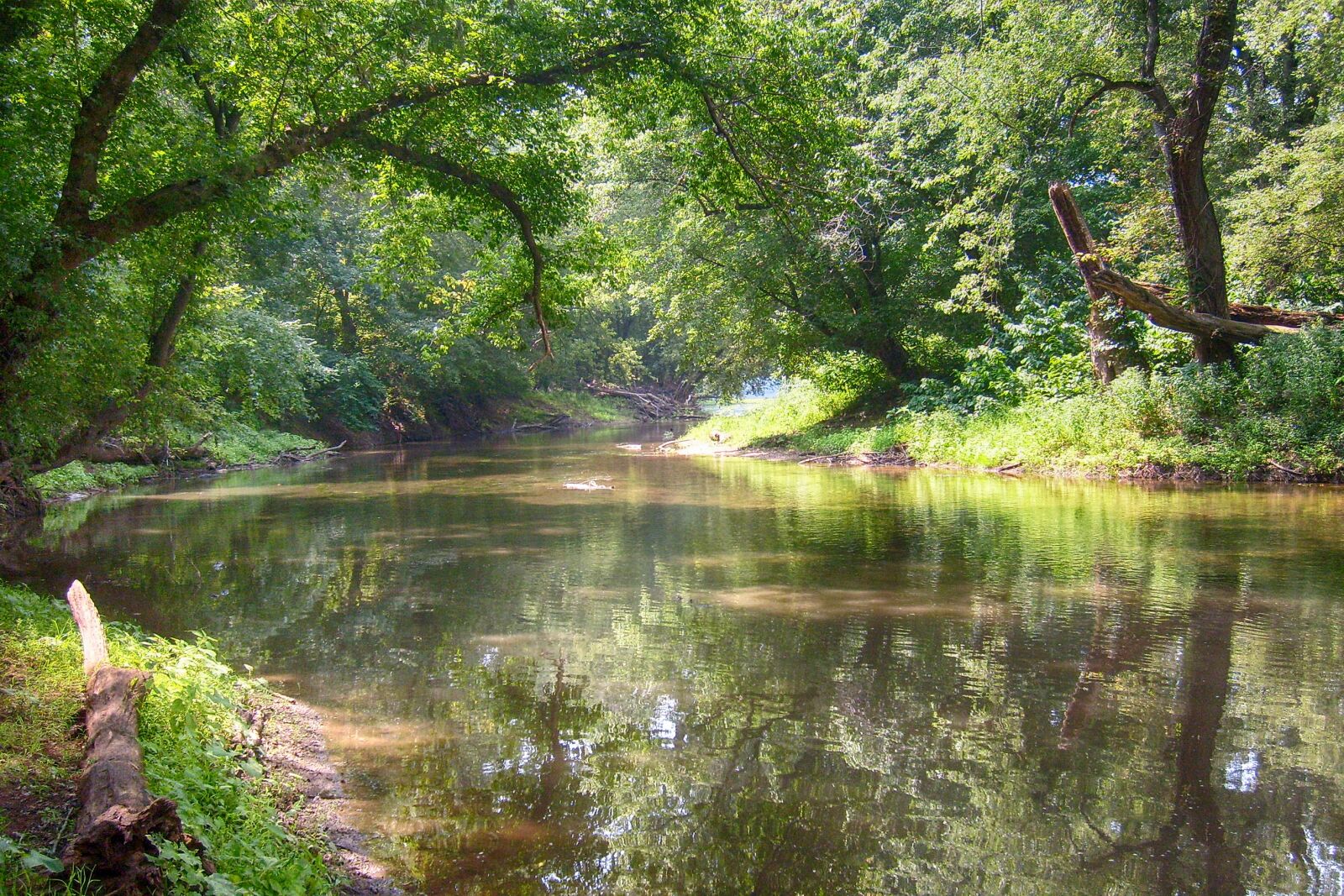 Samsung KENOX S630  / Samsung S630 sample photo. River, trees, water photography