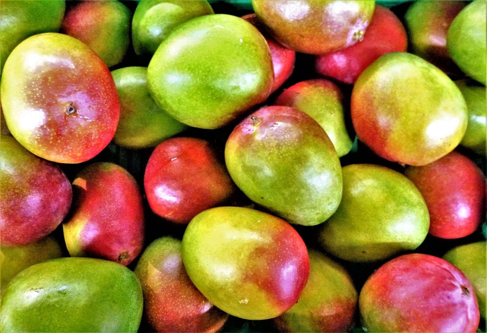 Panasonic Lumix DMC-ZS10 (Lumix DMC-TZ20 / Lumix DMC-TZ22) sample photo. Fruit, food, mango photography