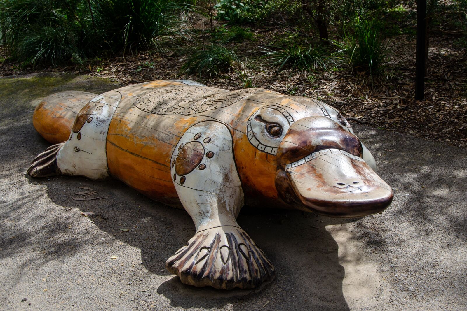 Nikon D5100 sample photo. Platypus, mammal, monotreme photography