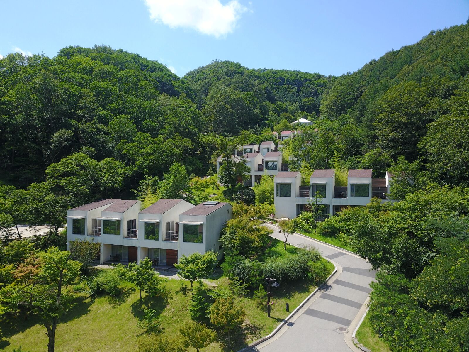 DJI FC220 sample photo. Line how to, in photography