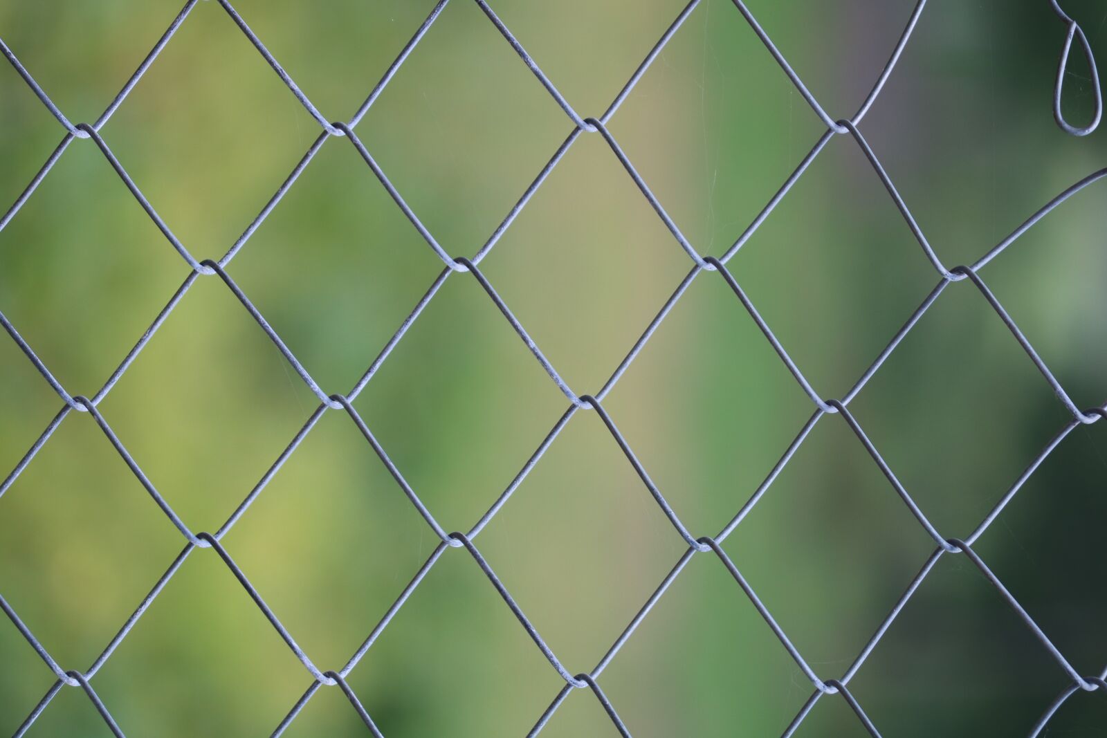 Canon EOS 750D (EOS Rebel T6i / EOS Kiss X8i) + Canon EF-S 55-250mm F4-5.6 IS II sample photo. Fence, chain link fence photography
