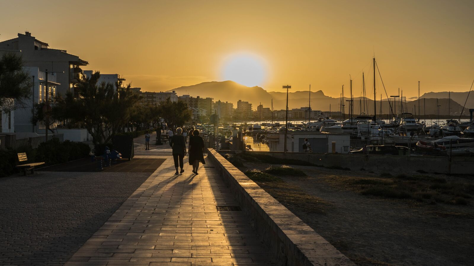 Sony a7 + Sony FE 50mm F1.8 sample photo. Promenade, summer, sunset photography