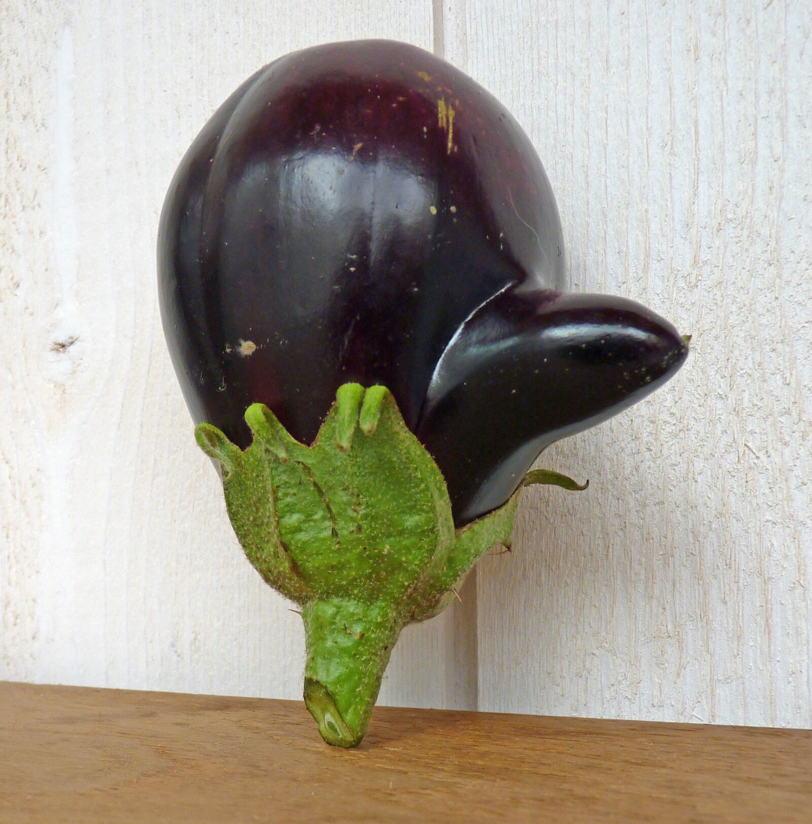 Panasonic Lumix DMC-FZ35 (Lumix DMC-FZ38) sample photo. Vegetable, eggplant, vegetable garden photography