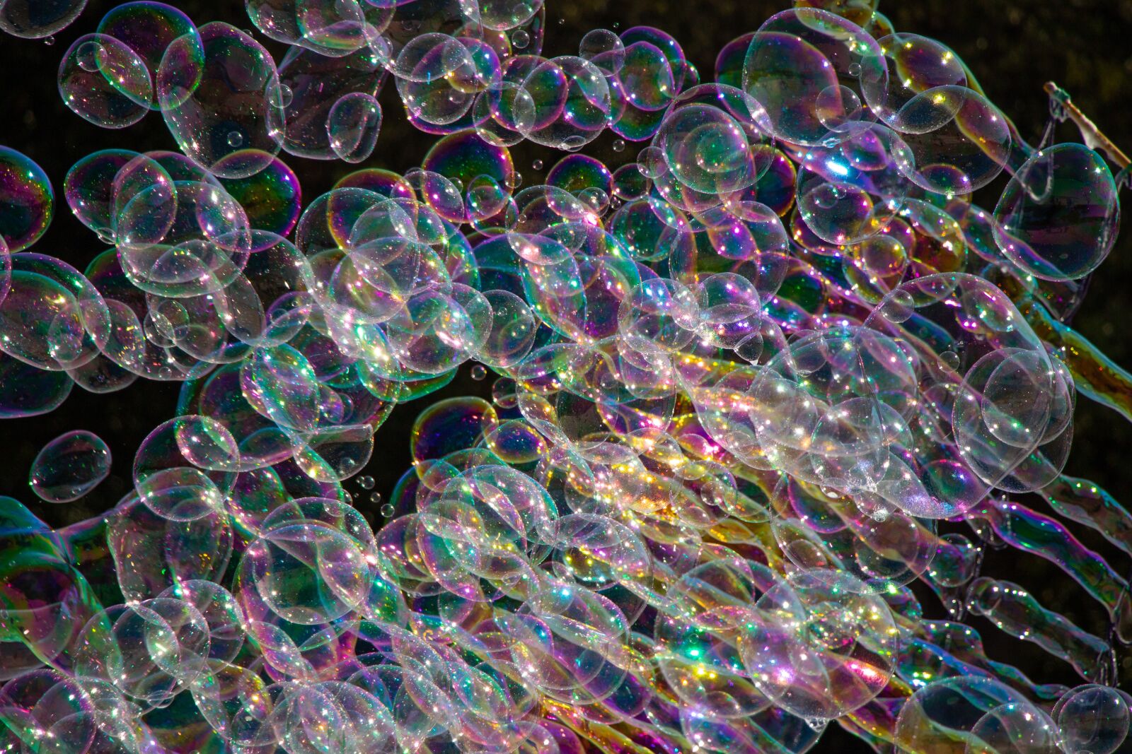 Canon EOS 100D (EOS Rebel SL1 / EOS Kiss X7) sample photo. Soap bubbles, fun, colors photography