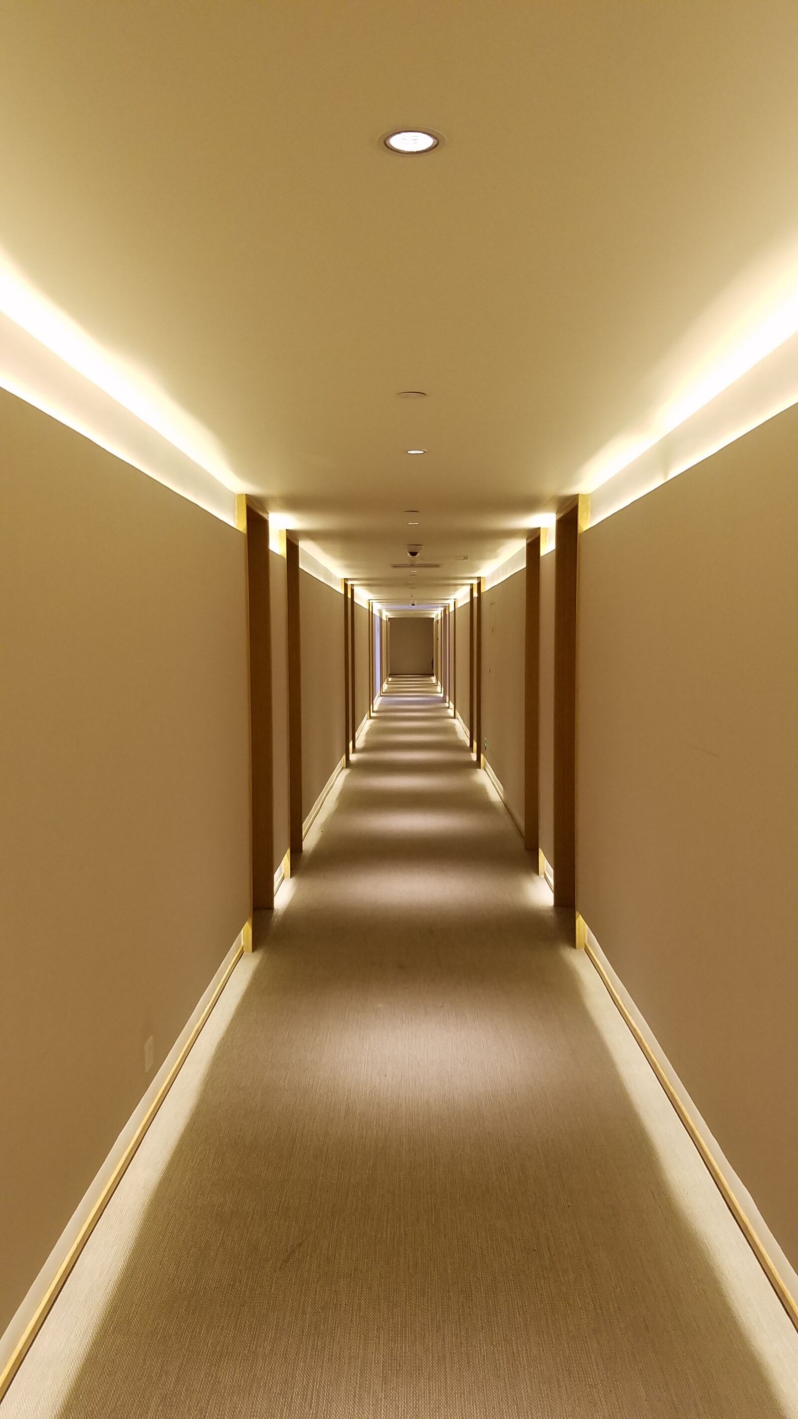 Samsung Galaxy S7 Edge sample photo. Hotel, corridor, carpet photography