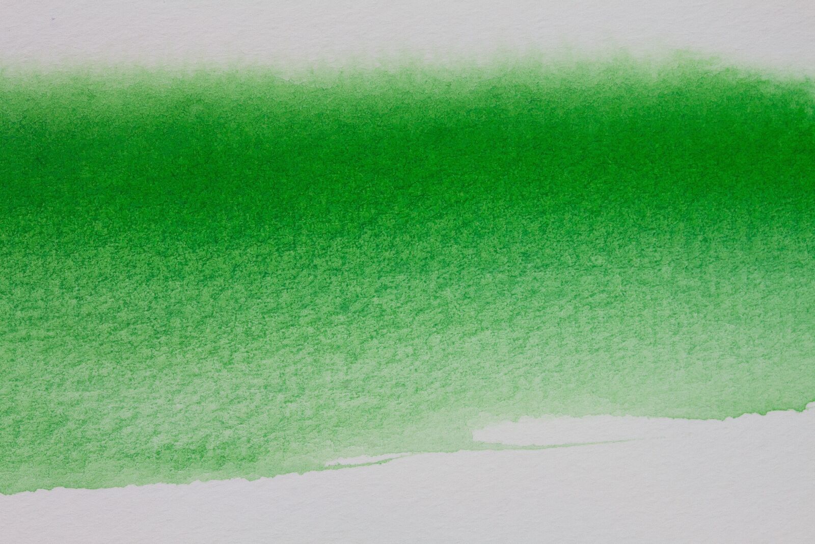 Canon EOS 50D sample photo. Watercolour, watercolor, paint photography