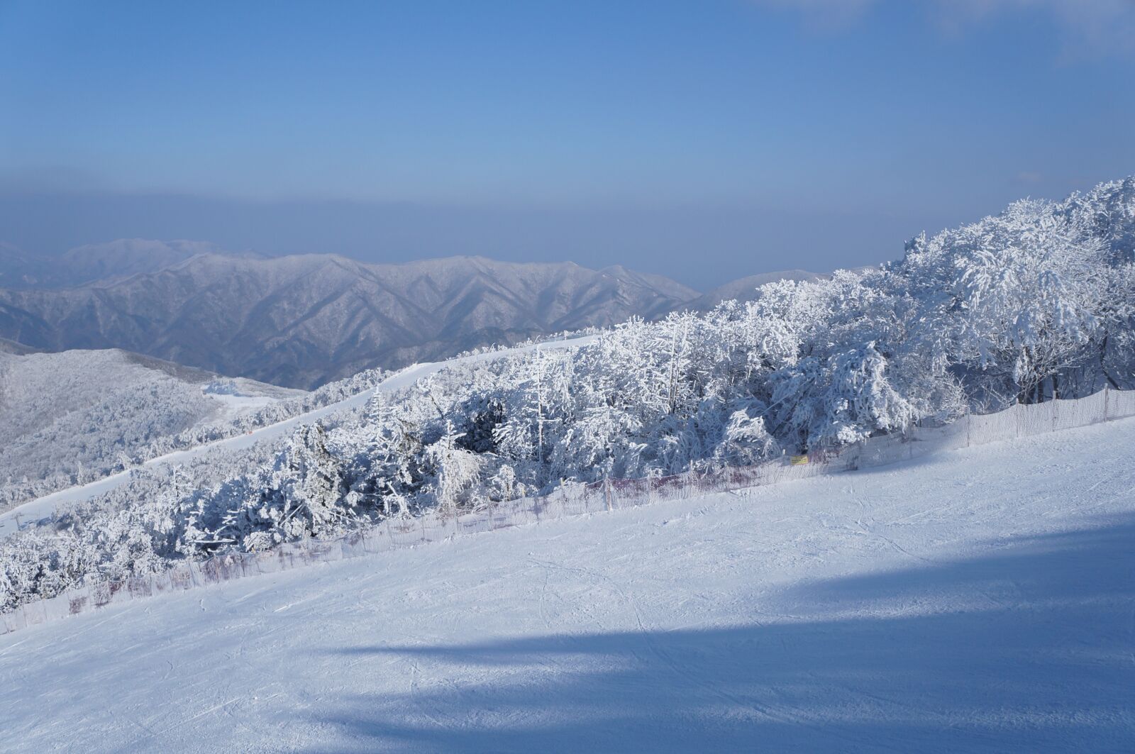 Sony Alpha NEX-F3 sample photo. Snow, sky, winter photography