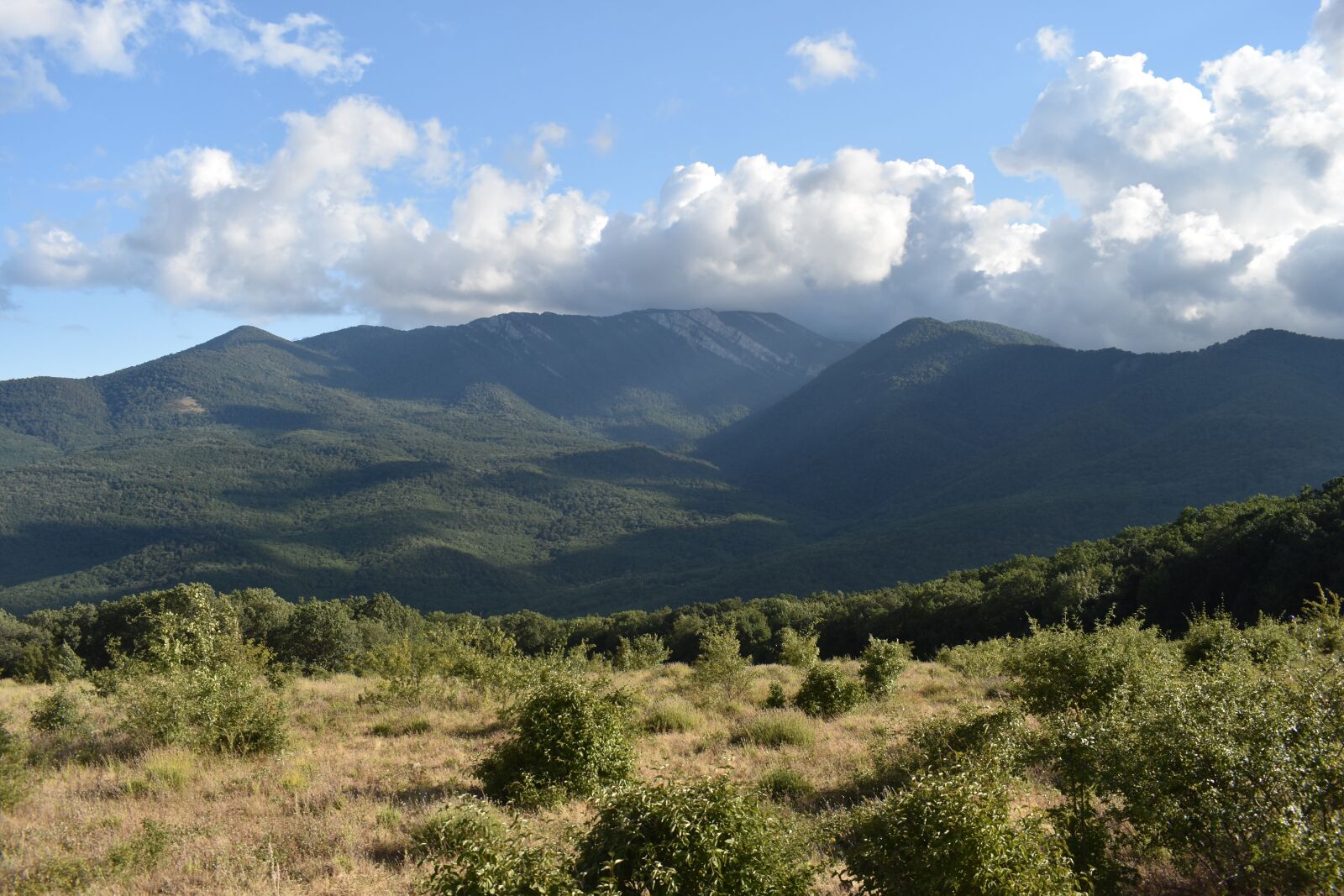 Nikon D3400 sample photo. Mountains, forest, landscape photography