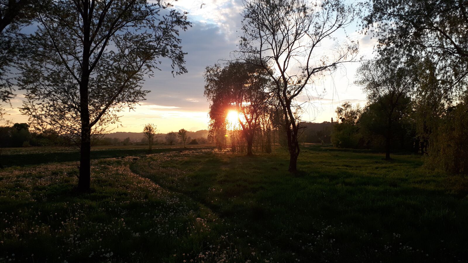 Samsung Galaxy A5(2017) sample photo. Sunset, meadow, summer photography