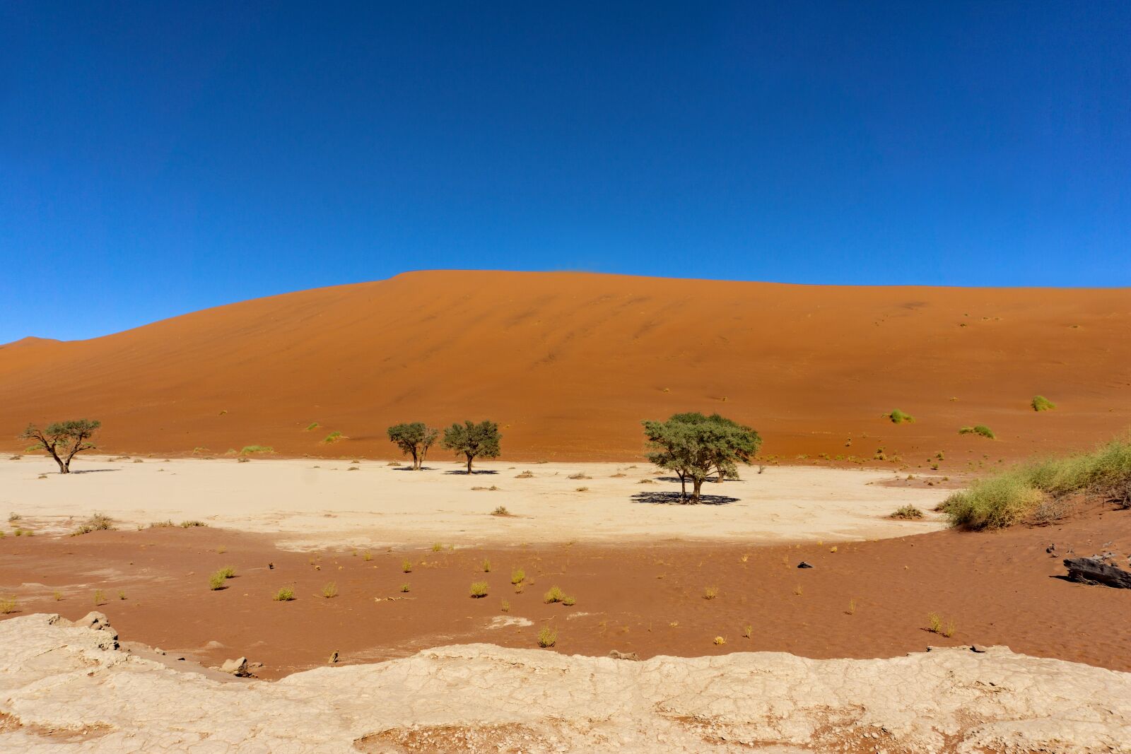 Sony a6000 sample photo. Namibia, desert, sossusvlei photography