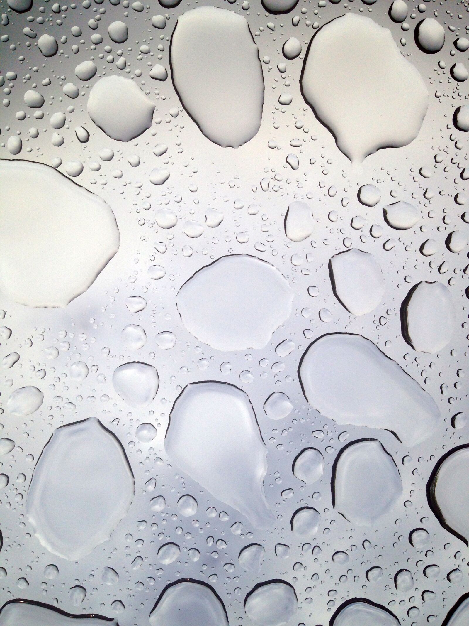 iPhone 5 back camera 4.12mm f/2.4 sample photo. Drip, rain, raindrop photography