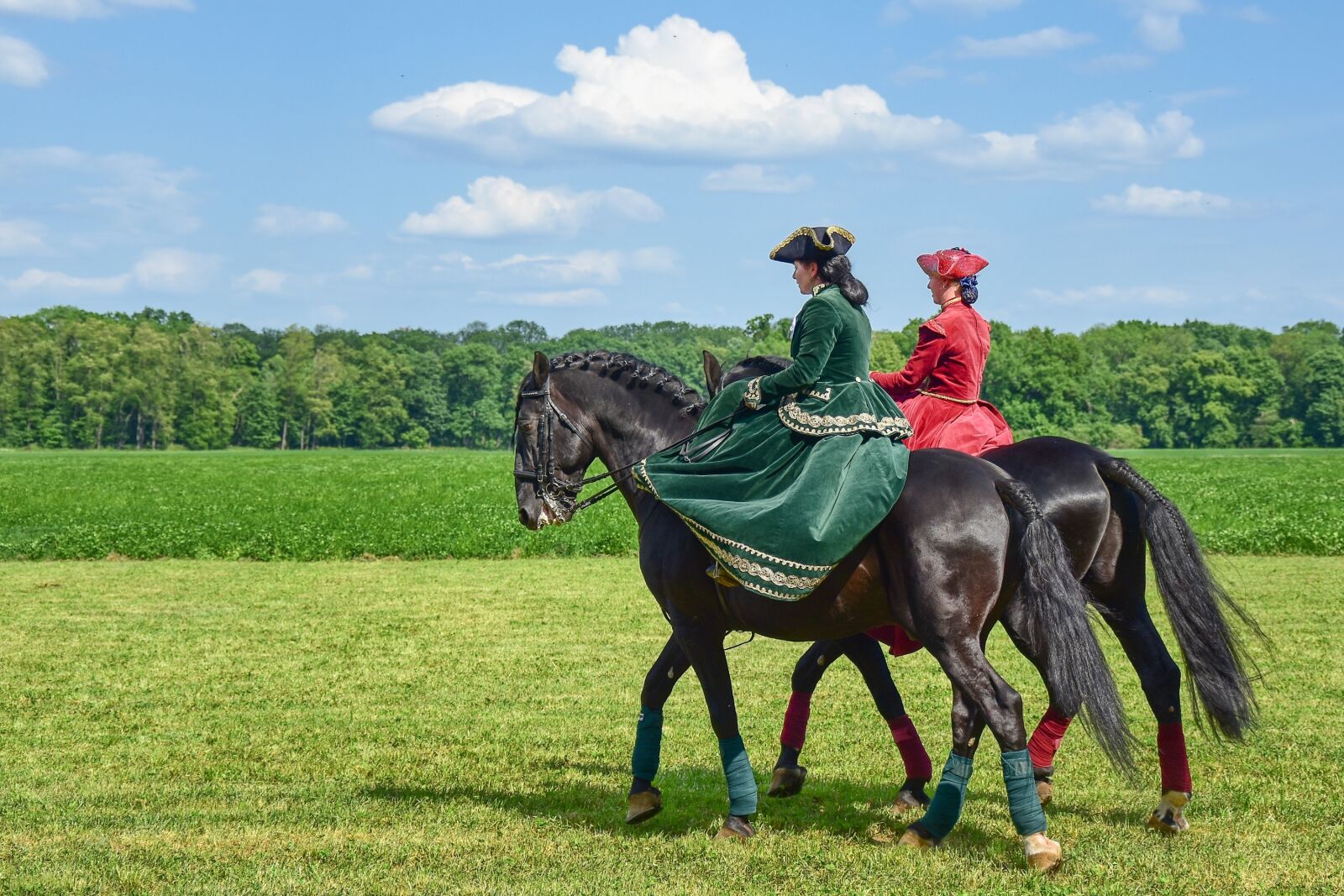 Nikon D5500 sample photo. Horse, lady, woman photography