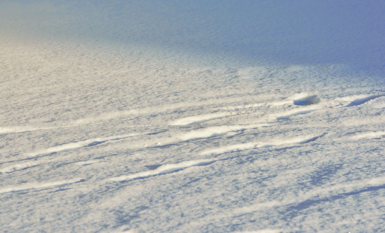 Nikon D5200 sample photo. Snow, snow lane, structure photography