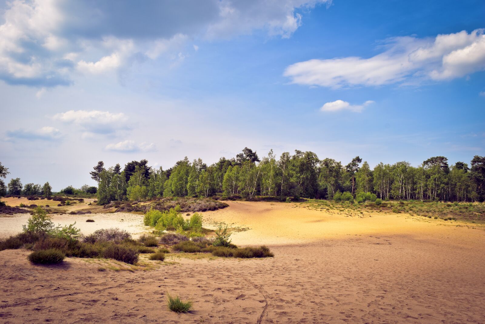 Nikon D3300 sample photo. Landscape, dunes, shifting sand photography