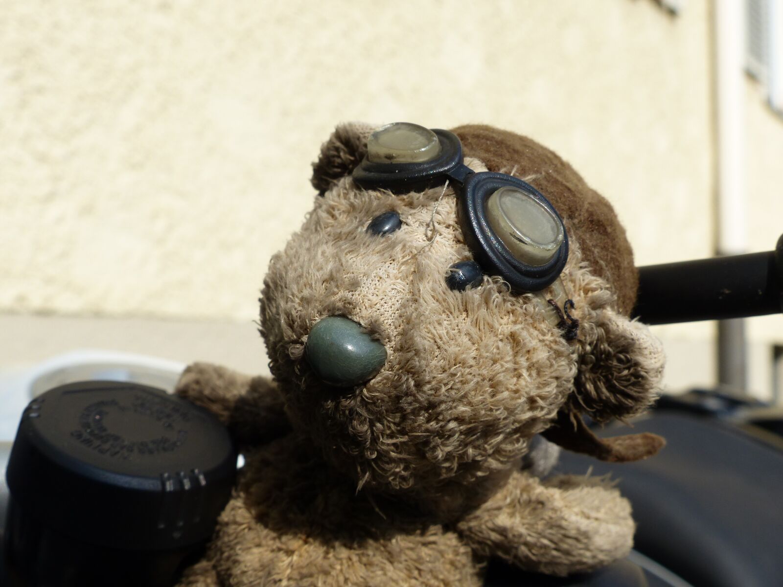 Panasonic Lumix DMC-FZ200 sample photo. Bear, motorcycle, glasses photography