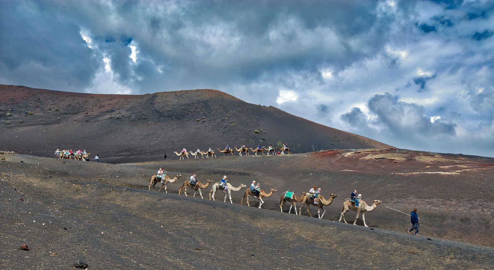 Nikon D800 sample photo. Camels, caravan, desert photography