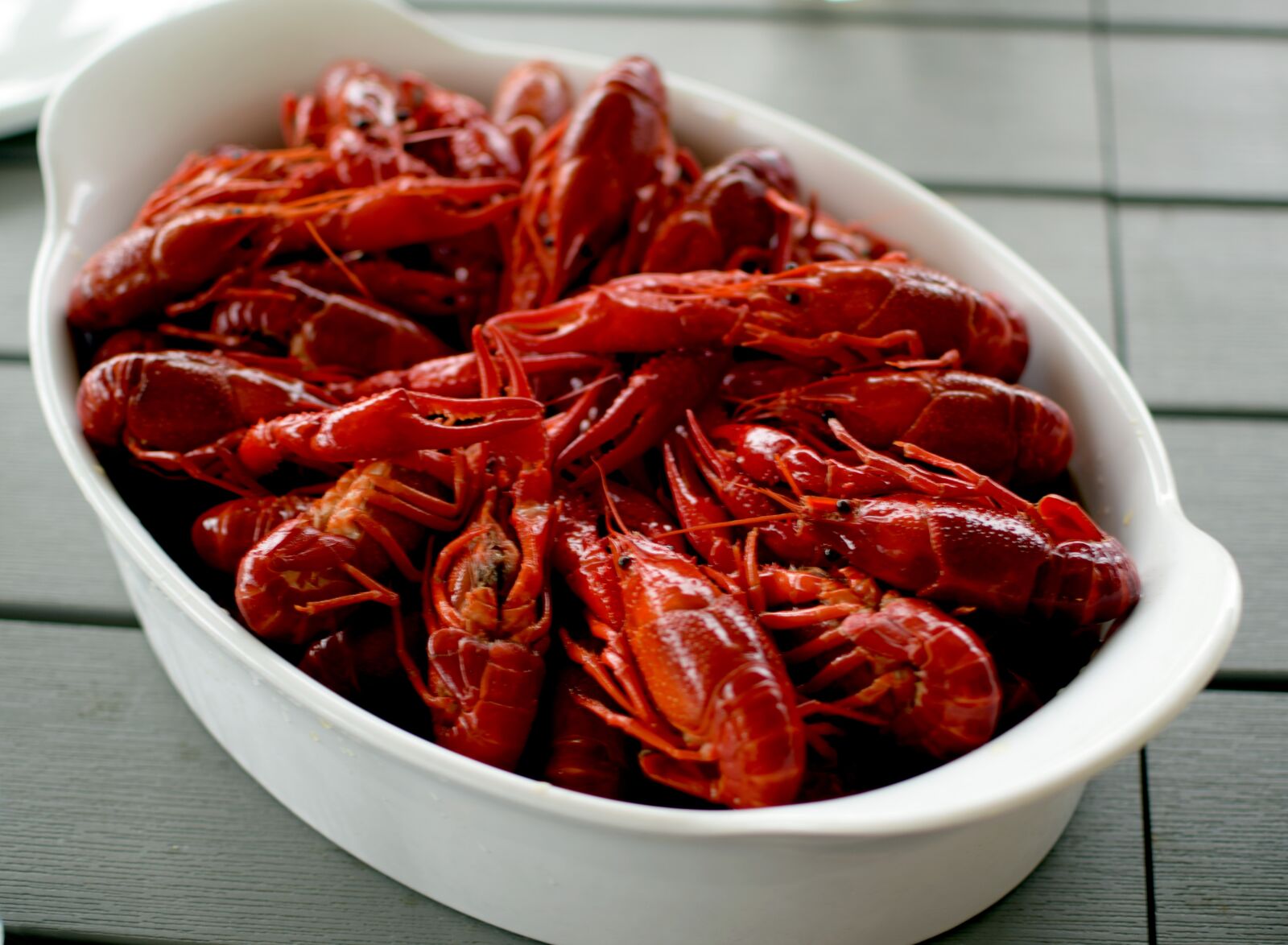 Nikon D5300 sample photo. Kr ftfat, crayfish, kr photography