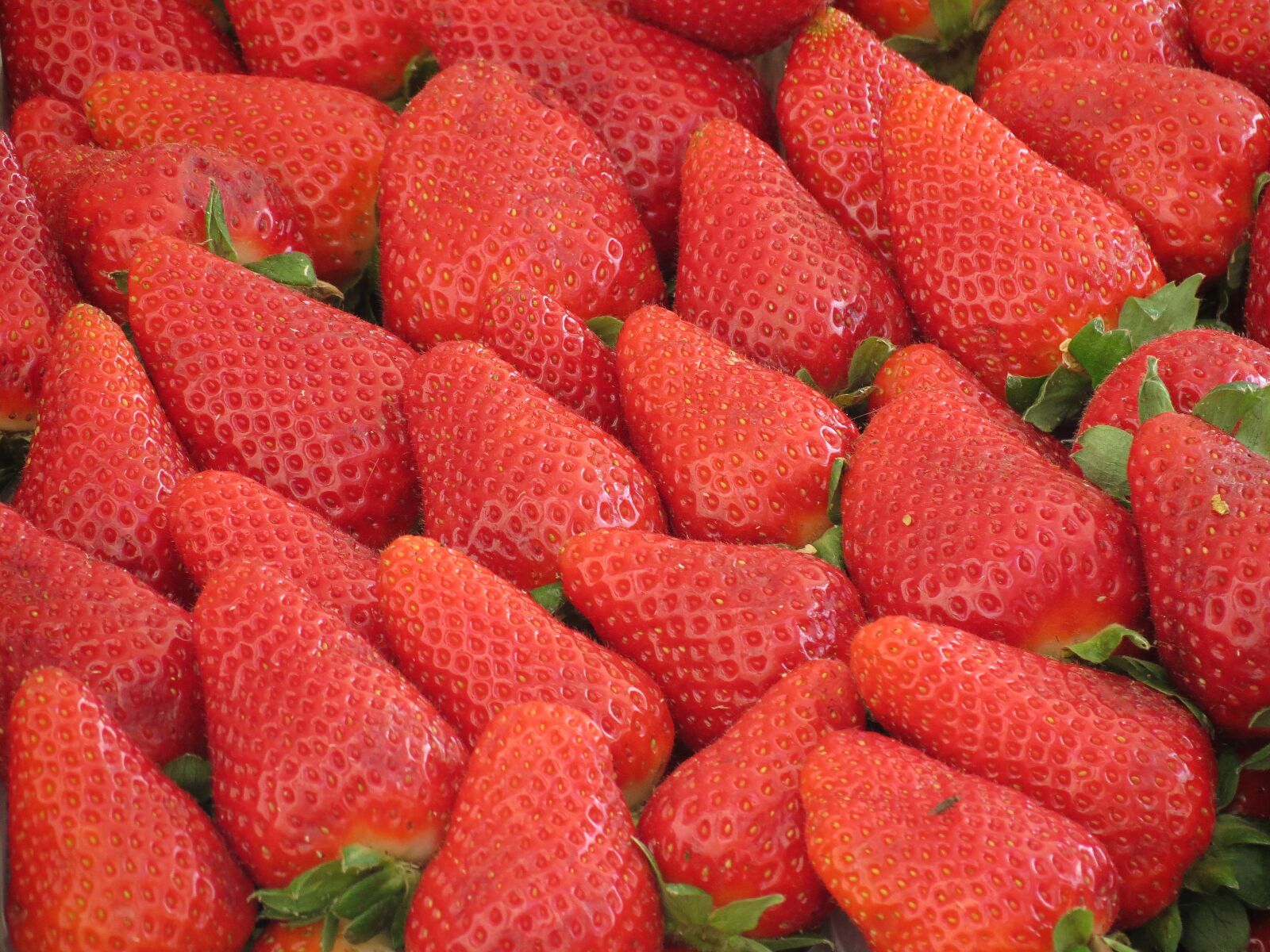4.3 - 150.5 mm sample photo. Pattern, strawberries, garden photography