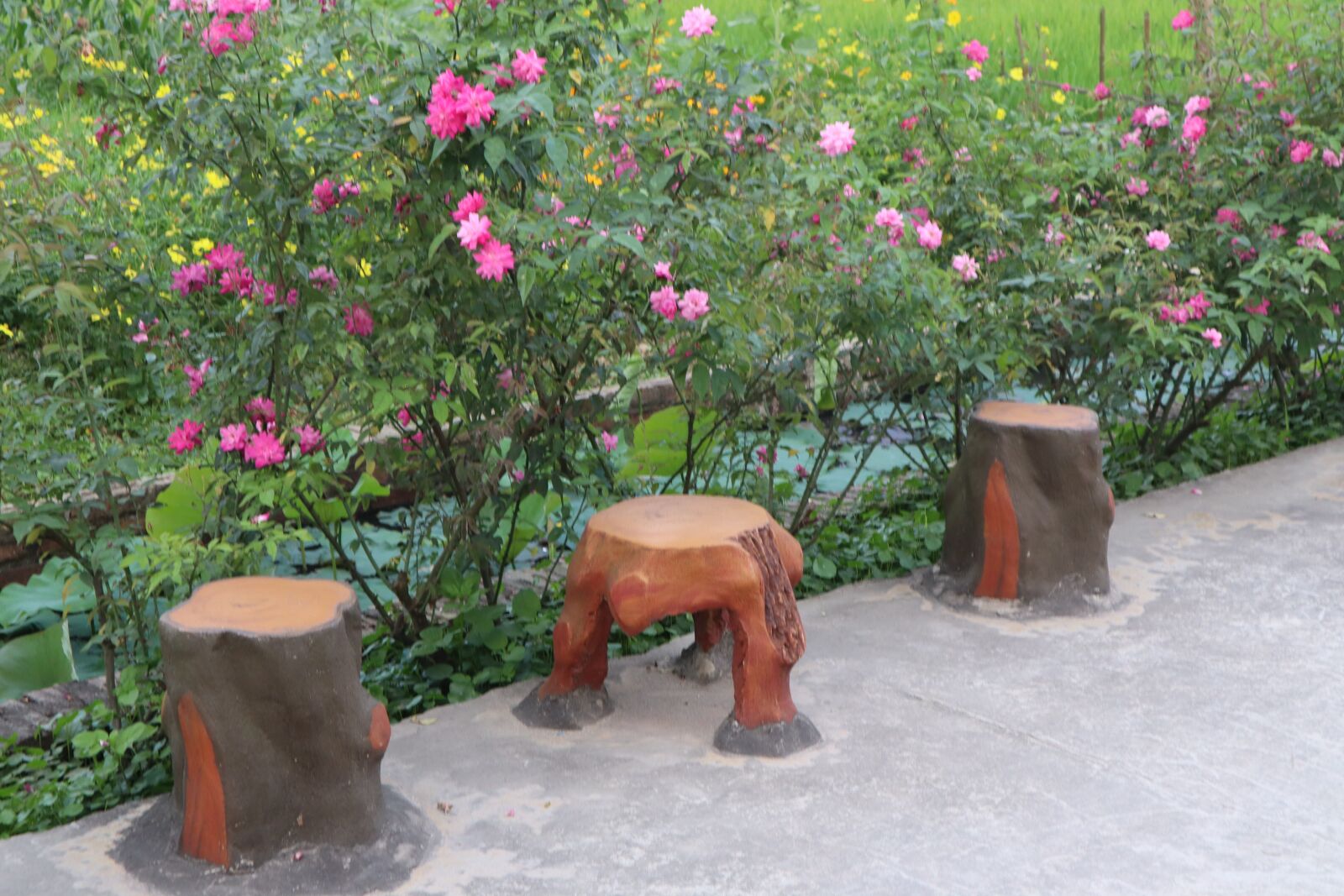Canon EOS M50 (EOS Kiss M) sample photo. Bench, relax, rest photography