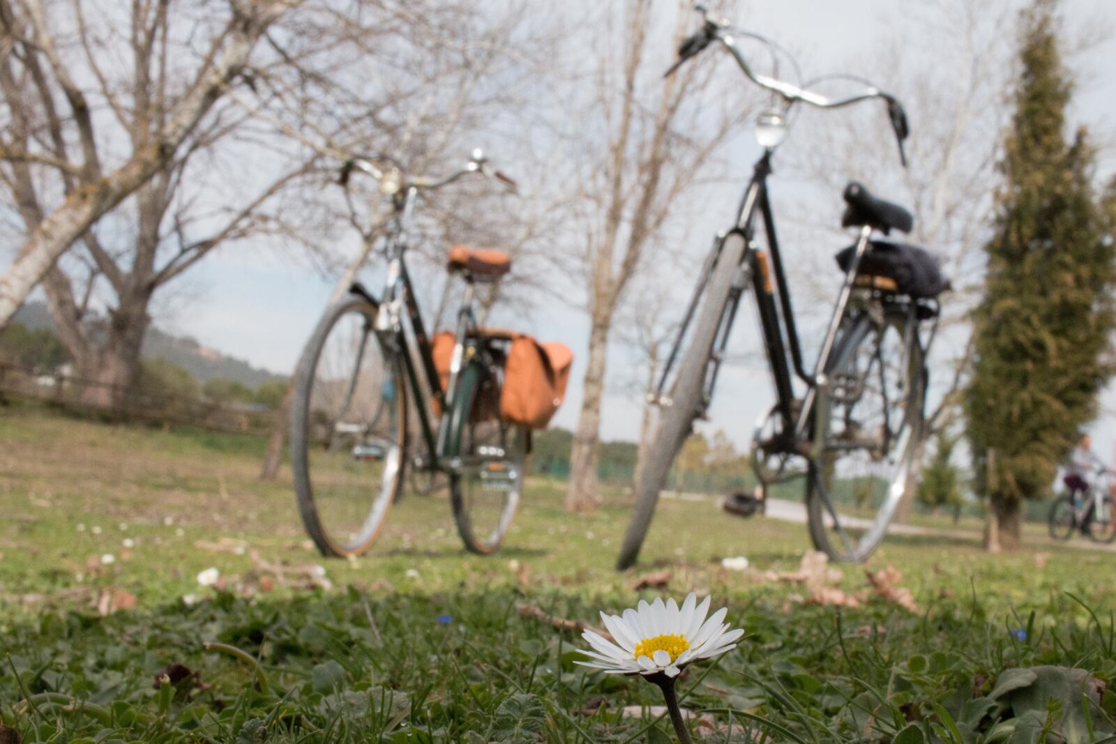 Canon EOS 70D + Canon EF-S 24mm F2.8 STM sample photo. Bike, classic, walk photography