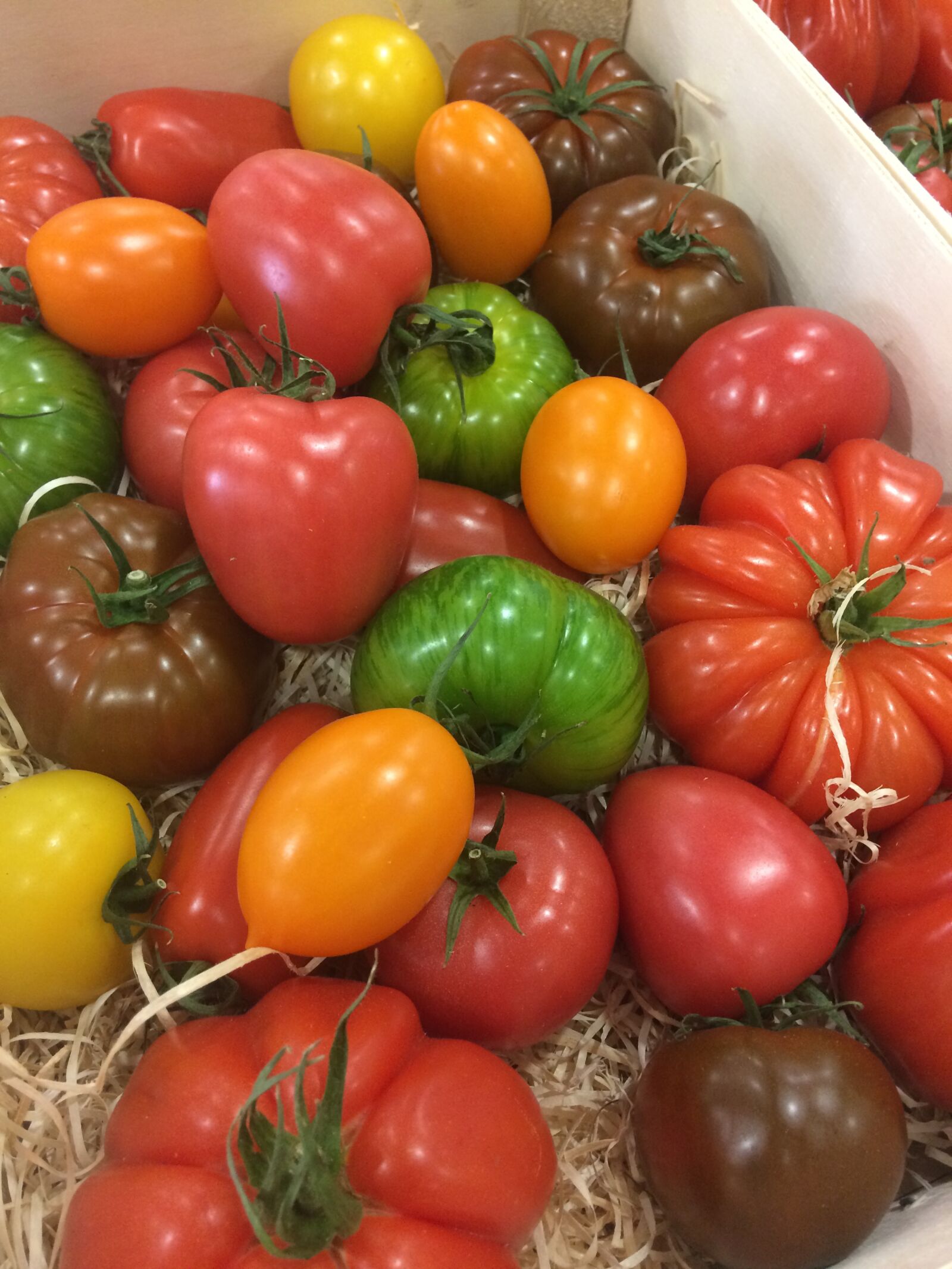 iPhone 5s back camera 4.15mm f/2.2 sample photo. Tomatoes, old tomatoes, colored photography