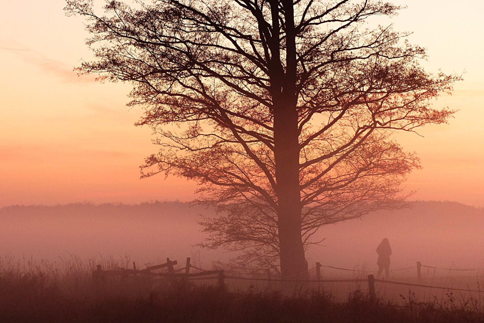 Panasonic Lumix DMC-FZ200 sample photo. Landscape, sunset, fog photography