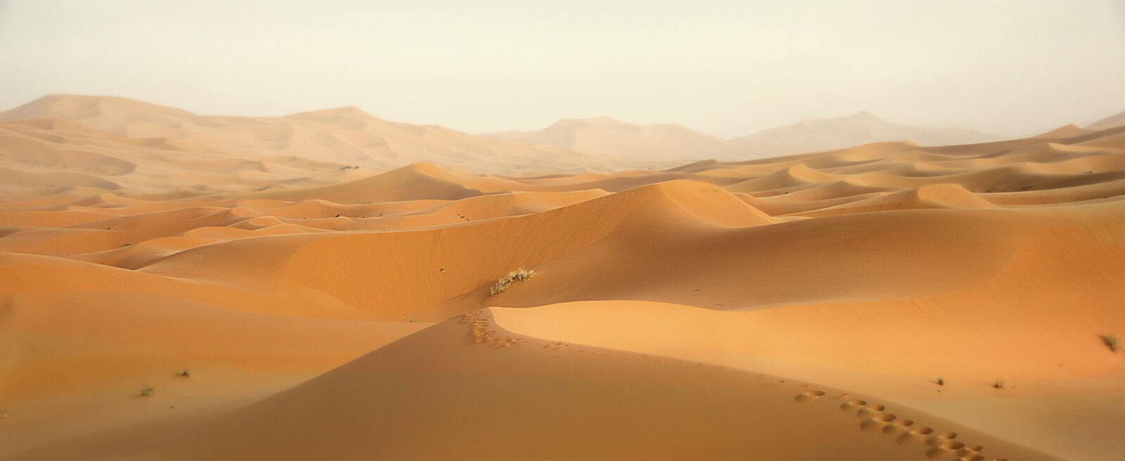 Canon EOS 550D (EOS Rebel T2i / EOS Kiss X4) sample photo. Desert, morocco, dunes photography