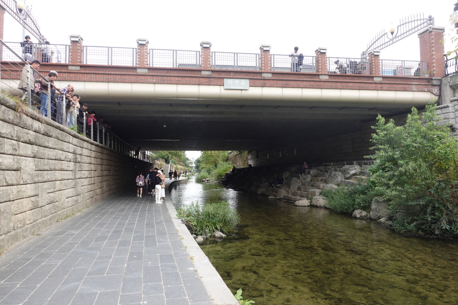 Sony ZV-1 sample photo