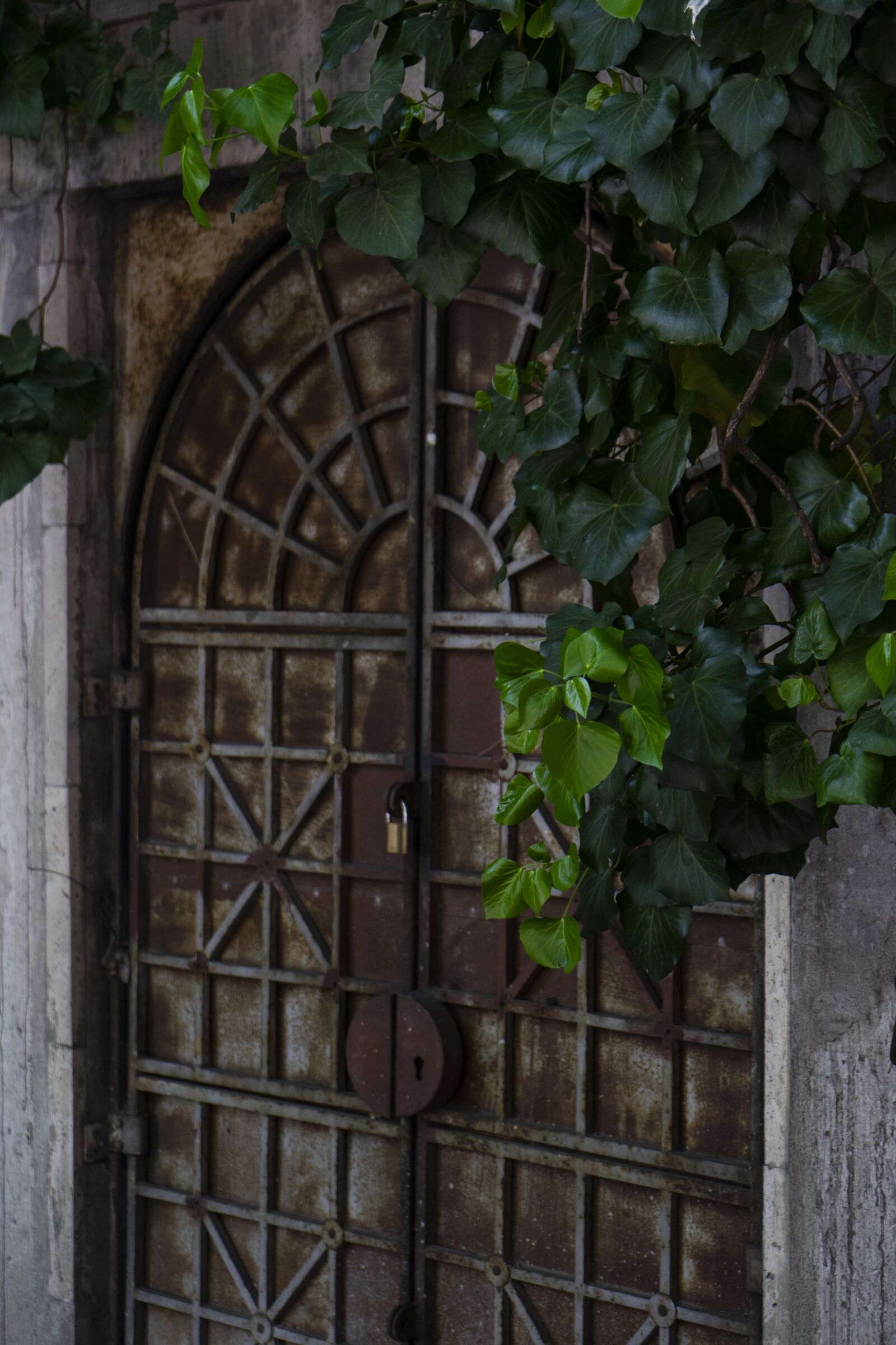 Sony a7 II sample photo. Door, old, plant photography