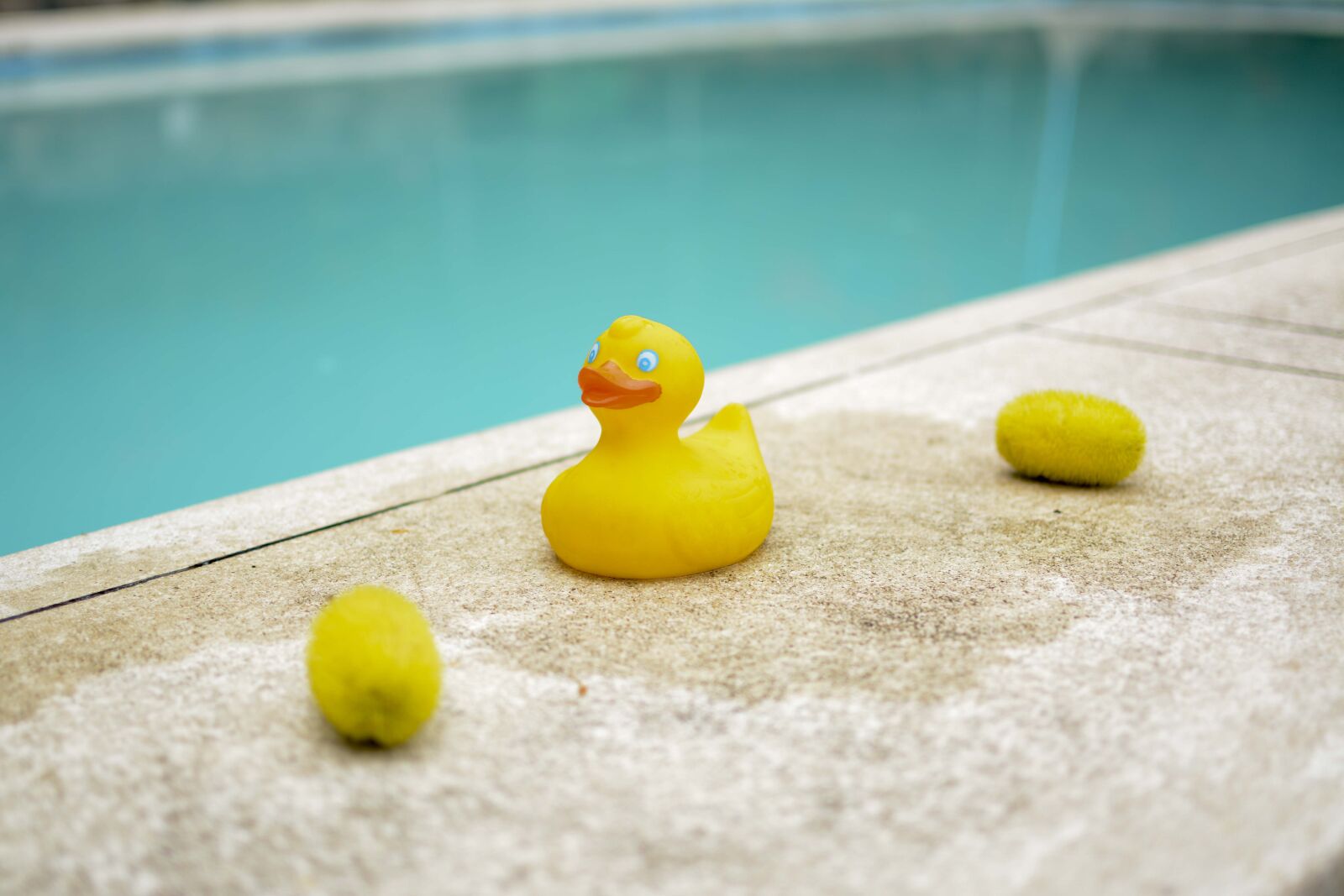 Nikon D7100 sample photo. Toy, duck, rubber photography
