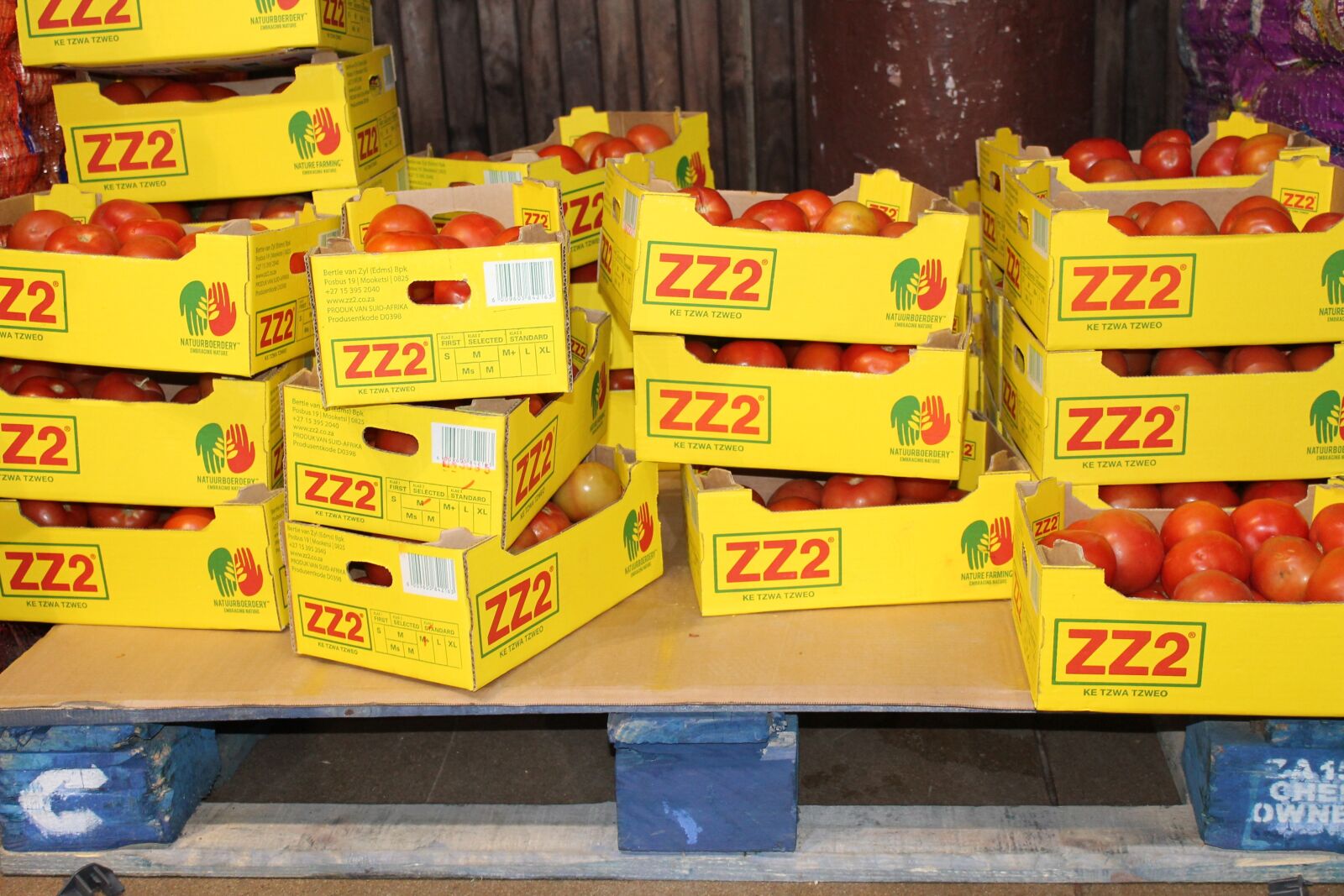 Canon EF-S 18-55mm F3.5-5.6 IS sample photo. Food, wood pallets, industry photography