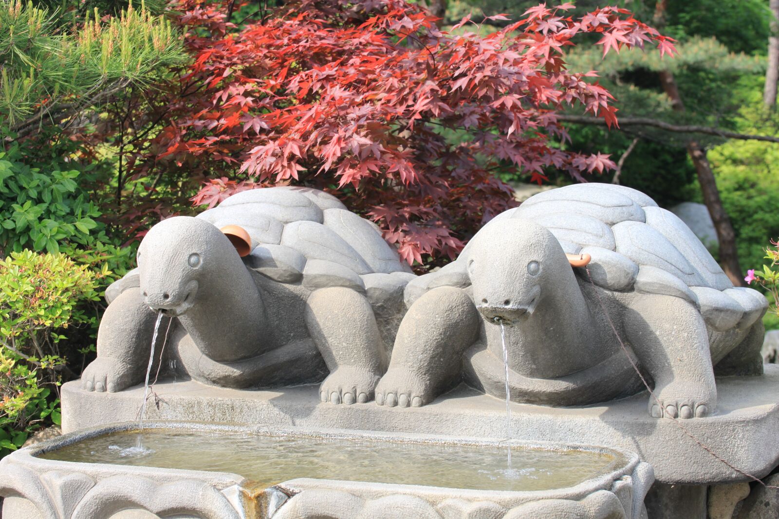 Canon EOS 500D (EOS Rebel T1i / EOS Kiss X3) sample photo. Water, fountains, stones photography