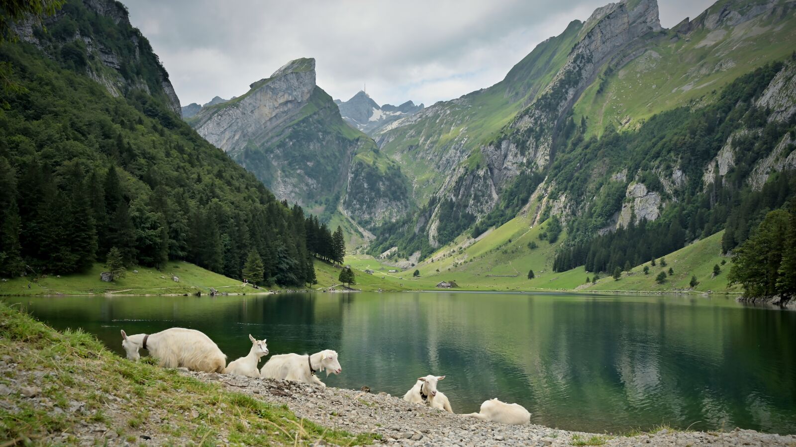 Nikon Z6 sample photo. Lake, mountains, mountain range photography