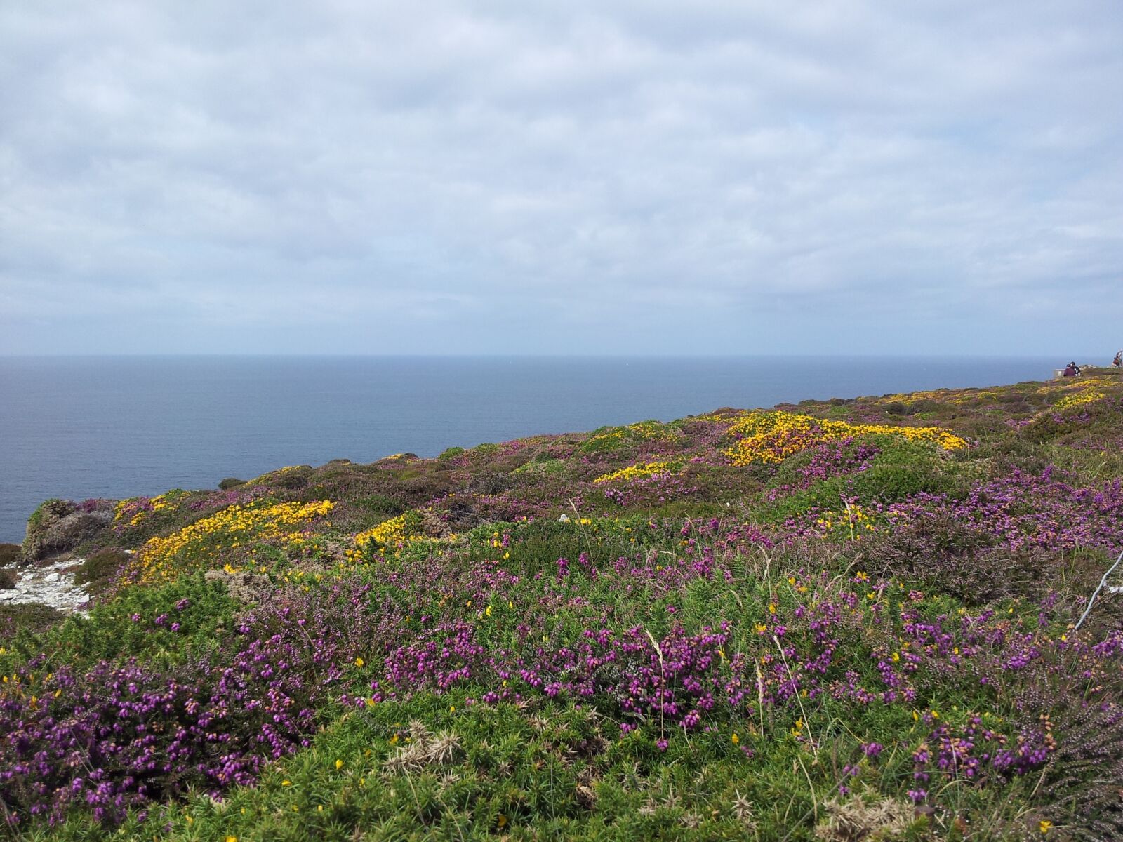 Samsung Galaxy S2 sample photo. Lande bretonne, brittany, sea photography