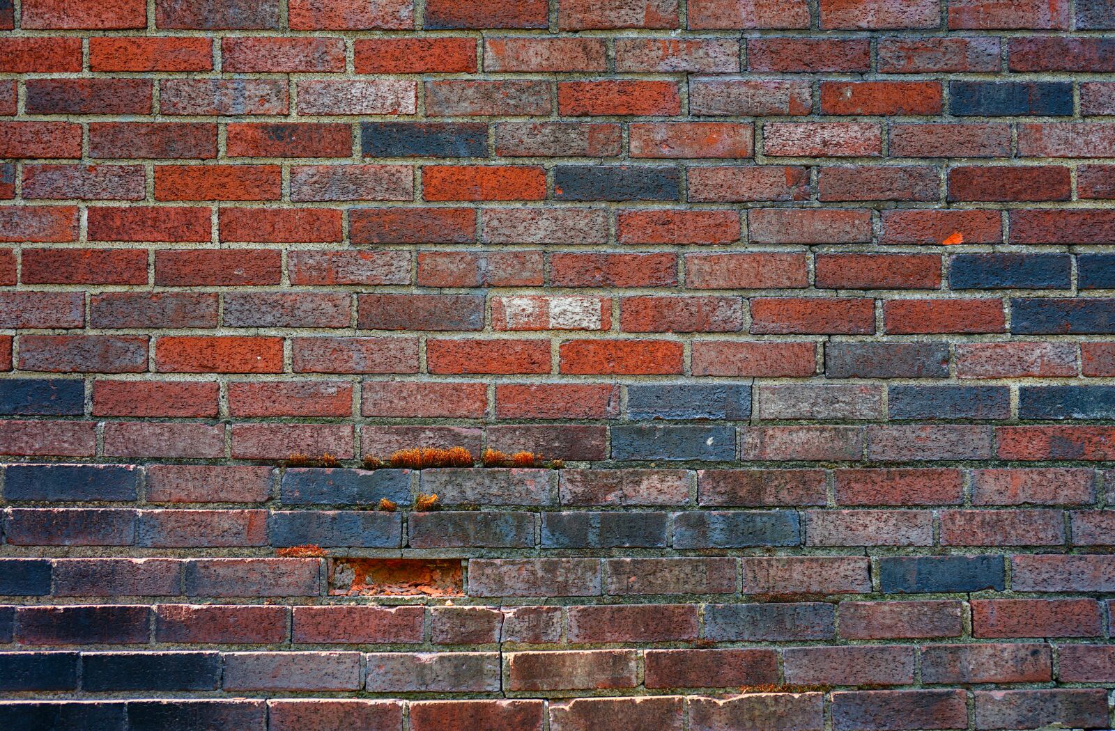 Sony FE 50mm F2.8 Macro sample photo. Wall, bricks, texture photography