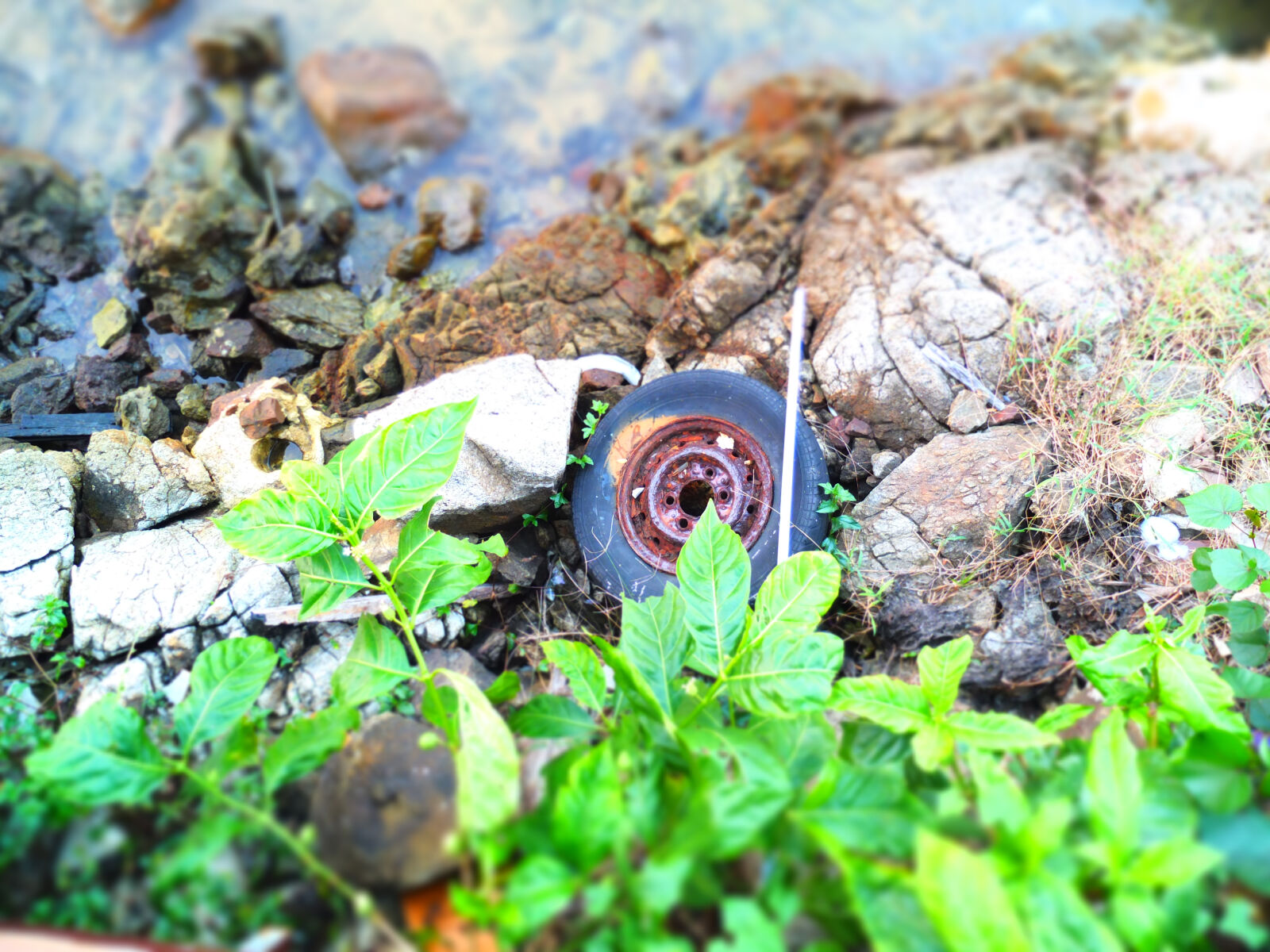 Fujifilm X10 sample photo. Island, nature, sea, waste photography