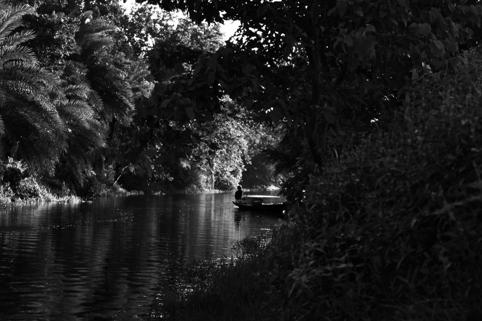 Canon EOS 500D (EOS Rebel T1i / EOS Kiss X3) sample photo. Bangladesh, canal, fisherman, flower photography