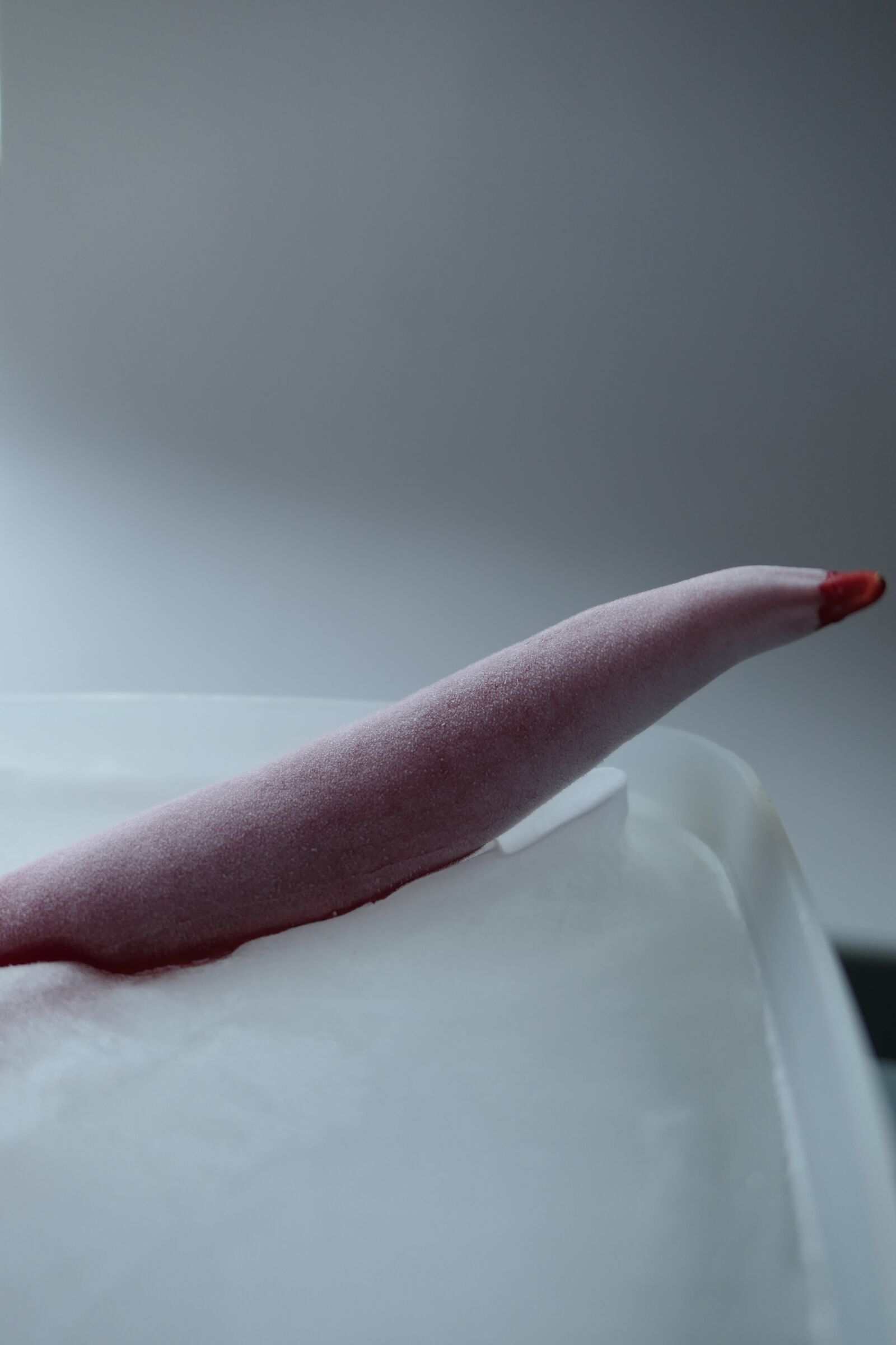Panasonic Lumix DMC-LX10 (Lumix DMC-LX15) sample photo. Pepperoni, ice, red photography