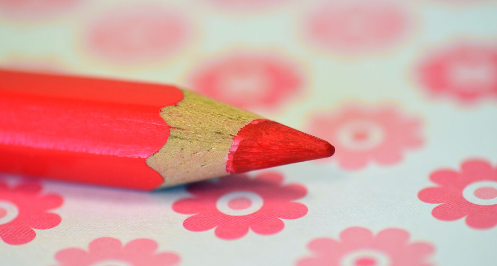 Nikon D3300 sample photo. Pen, wood pen, pink photography