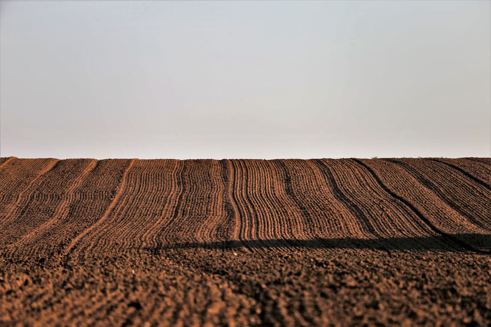 Canon EF 70-300 F4-5.6 IS II USM sample photo. Agriculture, ploughed land, field photography