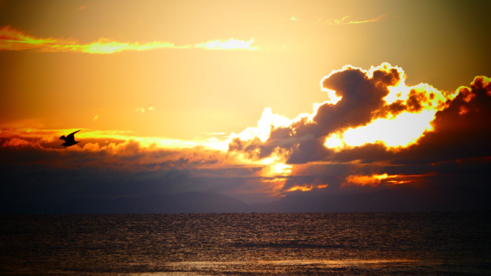 Panasonic Lumix DMC-FZ1000 sample photo. Sunset, sun, nature photography