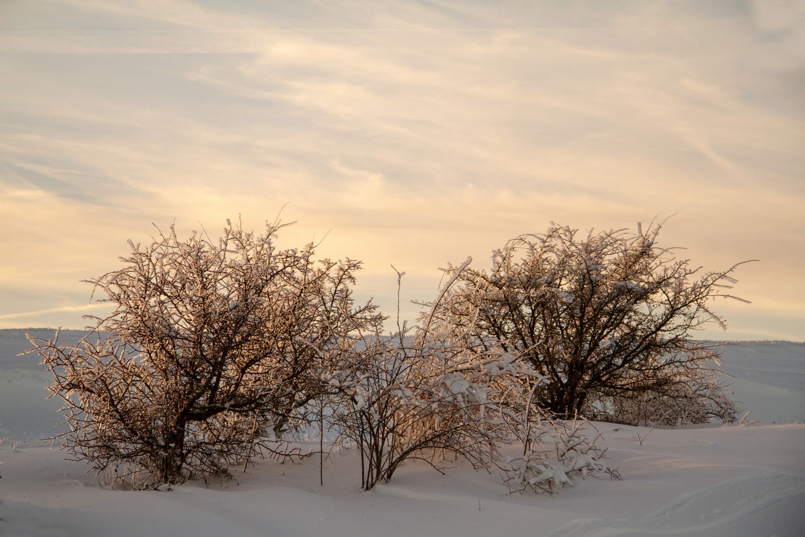 Canon EOS 7D sample photo. Winter, snow, wintry photography