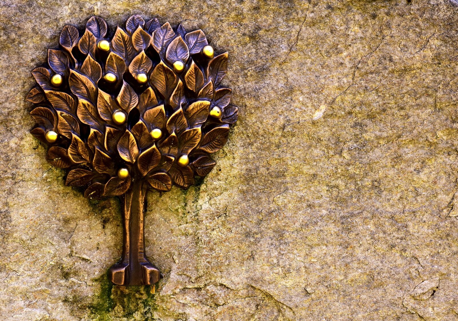 Nikon D7200 sample photo. Tree, leaves, wall photography