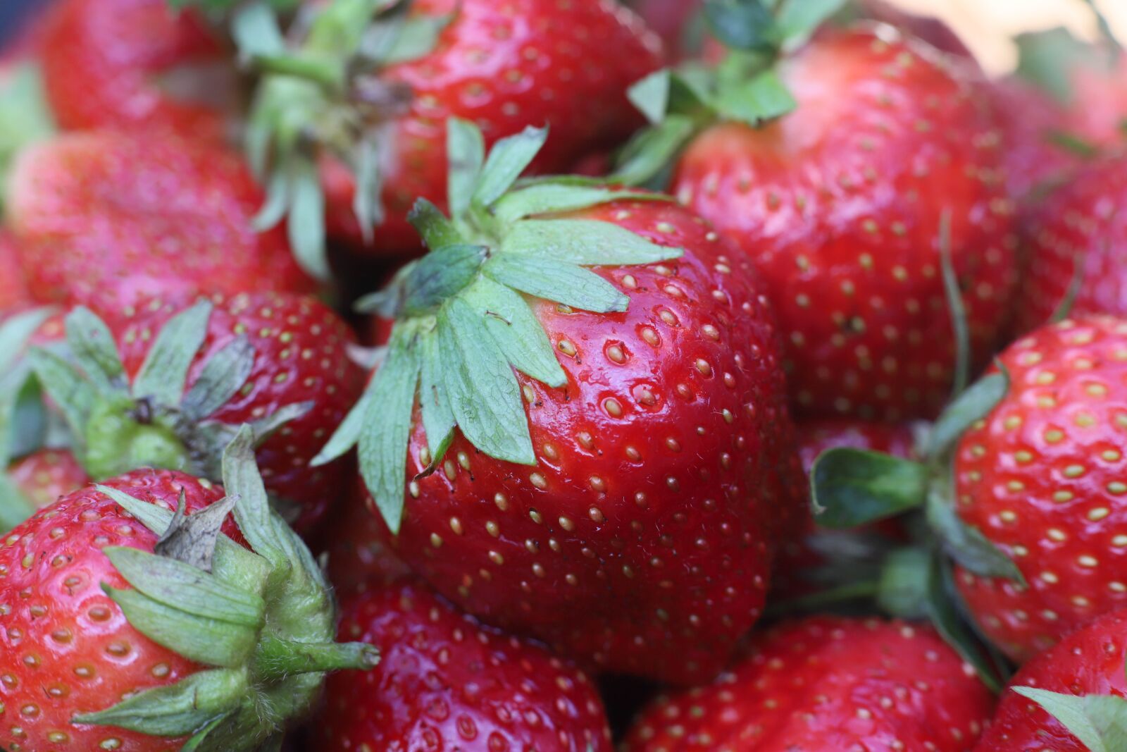 Canon EOS 6D Mark II sample photo. Strawberry, strawberries, fruit photography