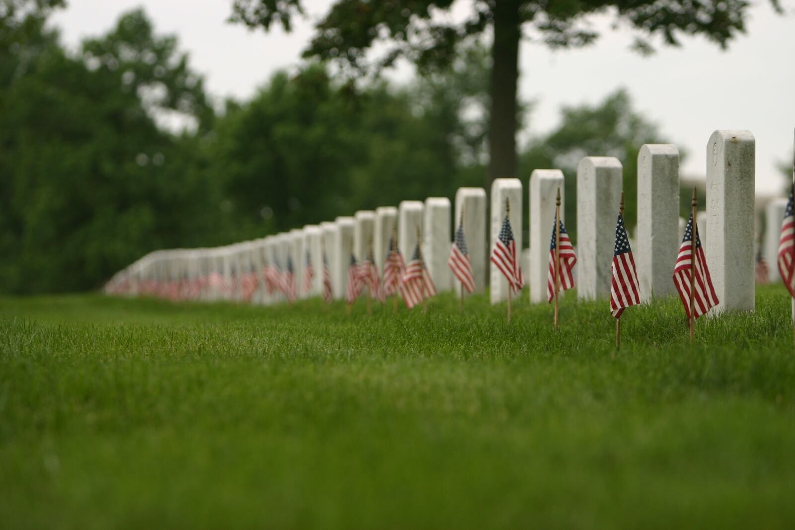 Canon EOS 300D (EOS Digital Rebel / EOS Kiss Digital) sample photo. Veterans day, flag, funeral photography
